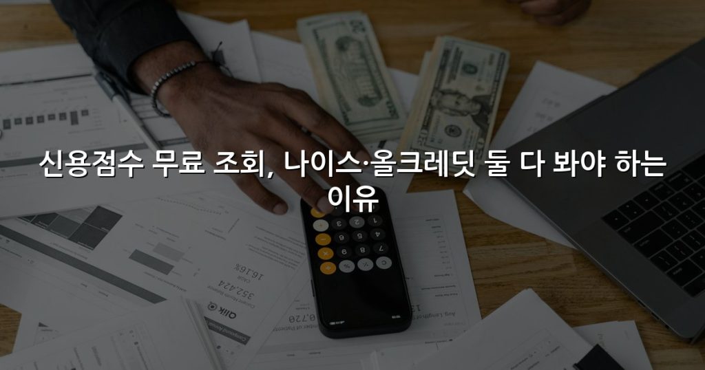 신용점수 무료 조회, 나이스·올크레딧 둘 다 봐야 하는 이유