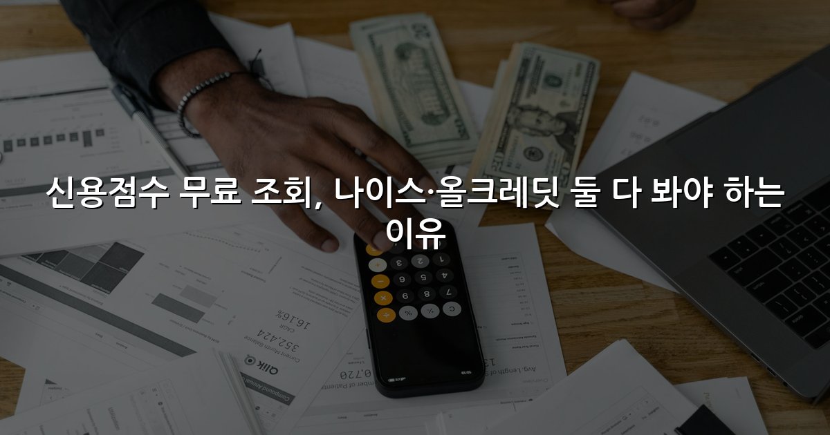 신용점수 무료 조회, 나이스·올크레딧 둘 다 봐야 하는 이유