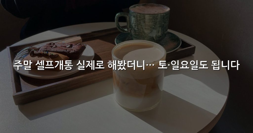 주말 셀프개통 실제로 해봤더니… 토·일요일도 됩니다