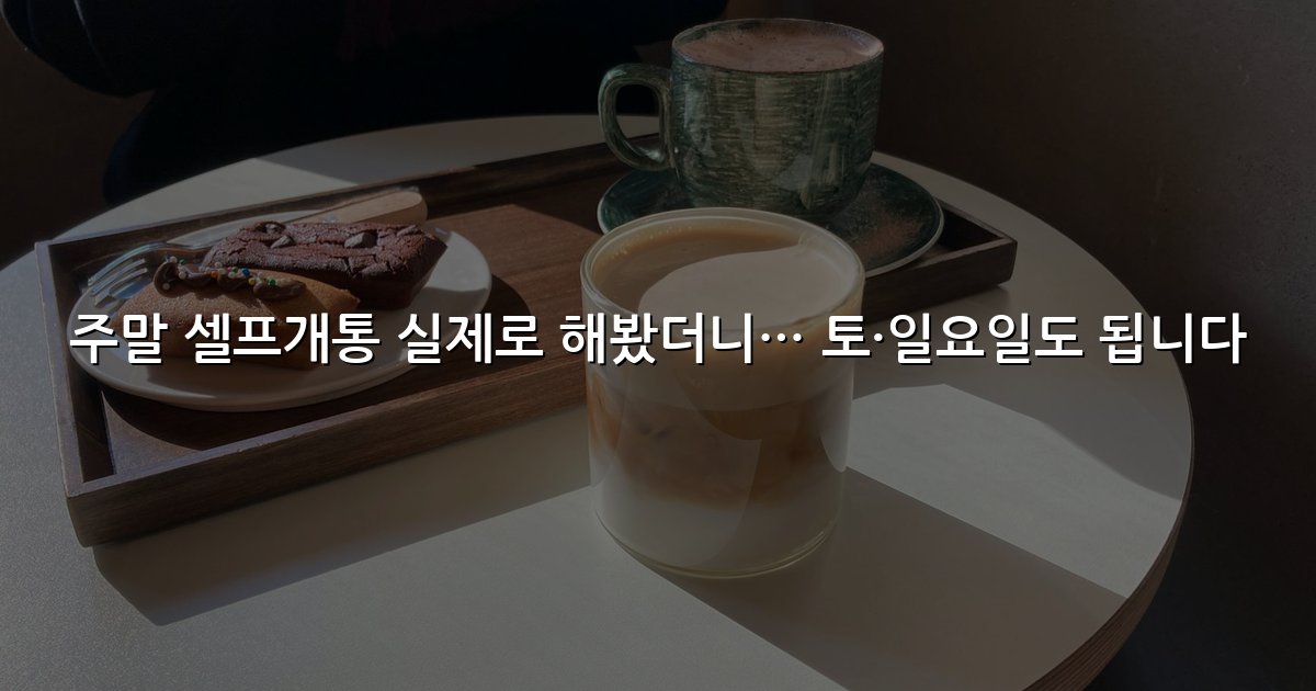주말 셀프개통 실제로 해봤더니… 토·일요일도 됩니다