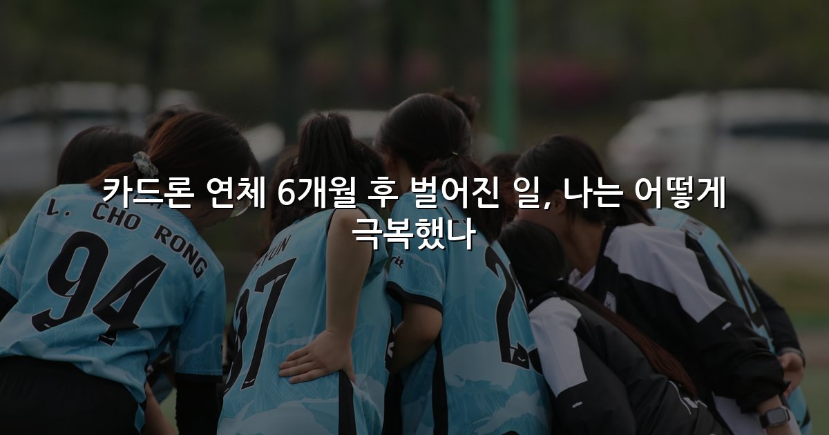 카드론 연체 6개월 후 벌어진 일, 나는 어떻게 극복했나